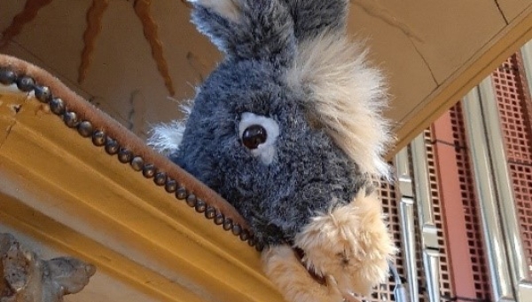 30.11.2025 - 11.00 Uhr Erster Advent: Wusel spezial Familiengottesdienst mit Esel Emil