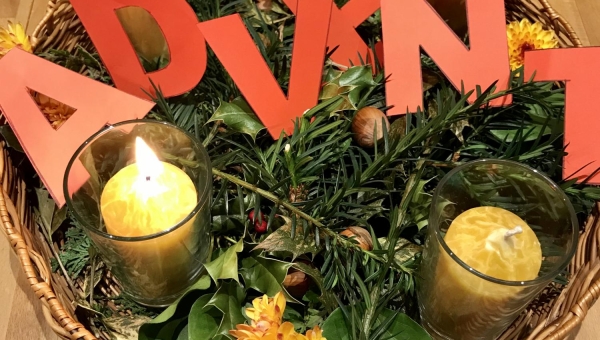 29.11.2026 - 11.00 Uhr Erster Advent: Wusel spezial Familiengottesdienst mit Esel Emil